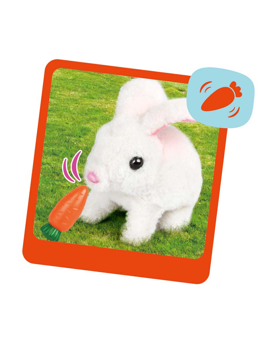 Kit de juguete cuidado de mascota Plush Pet 5