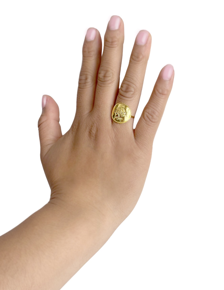 Anillo pulido 3