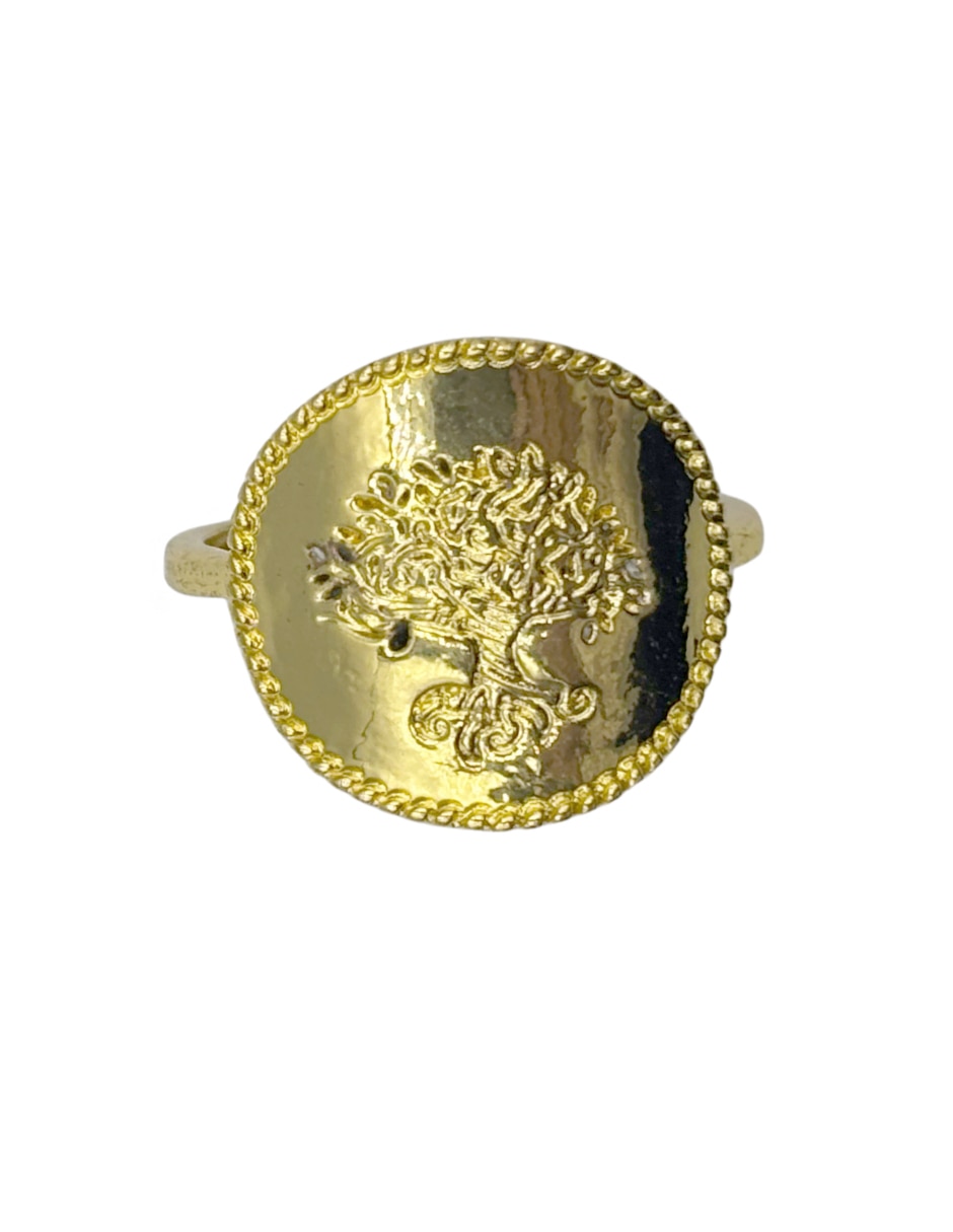 Anillo pulido 4