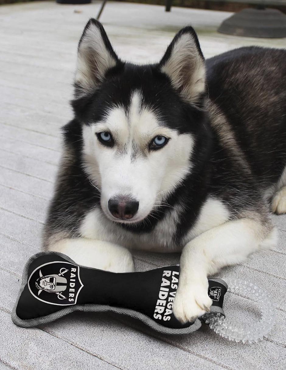 Juguete para perro NFL Raiders