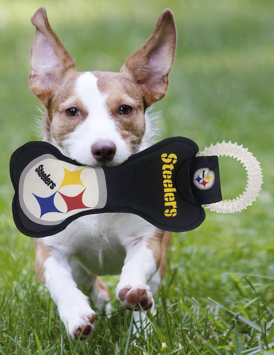 Juguete para perro NFL Pittsburgh Steelers