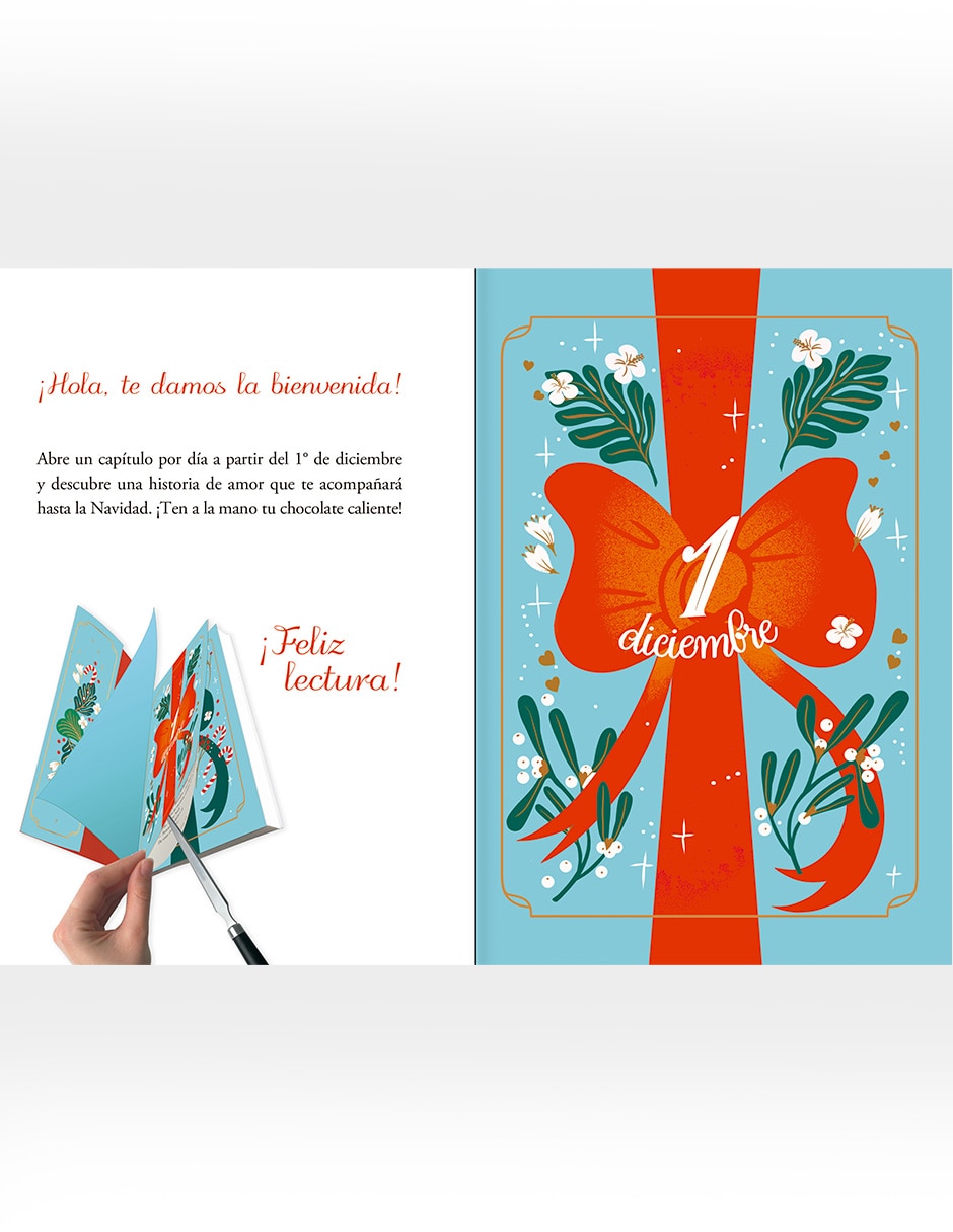 Libro Secret Santa de Sophie Jomain 4